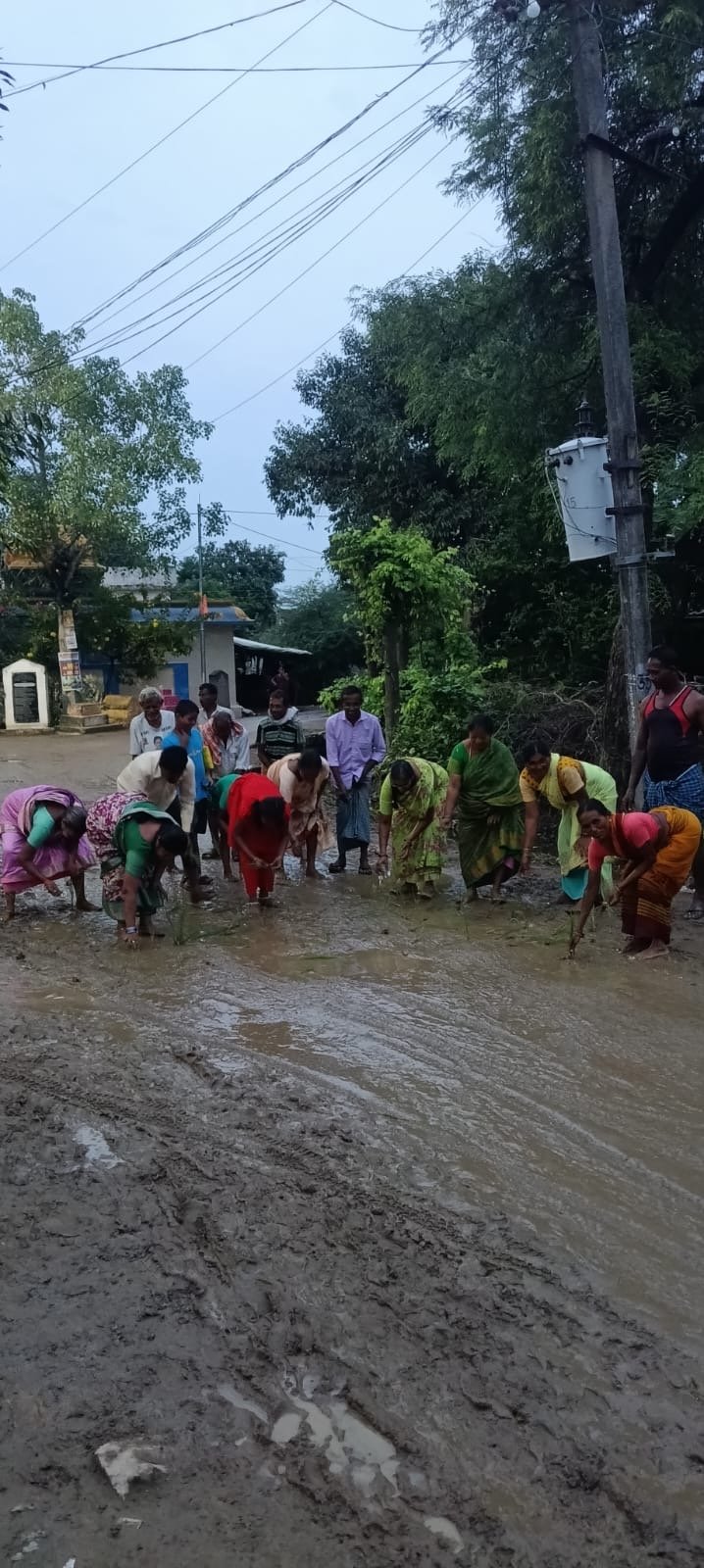 బురదమయమైన రోడ్డుపై నాట్లు వేసి గ్రామస్తుల నిరసన గుంతలు, బురదతో అధ్వానంగా మారిన ప్రధాన రహదారి — అధికారుల నిర్లక్ష్యంపై గ్రామస్తుల ఆగ్రహం