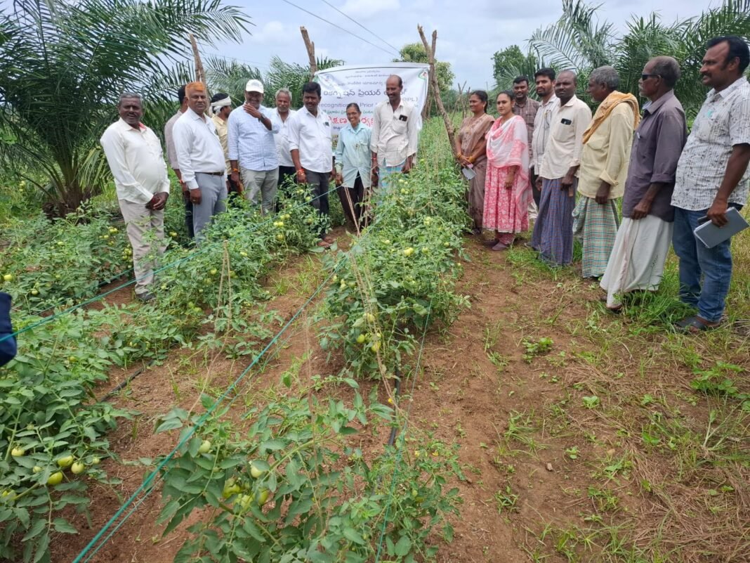 ఎల్ నీనో ప్రభావంపై రైతు వేధిక లో అవగాహన సదస్సు