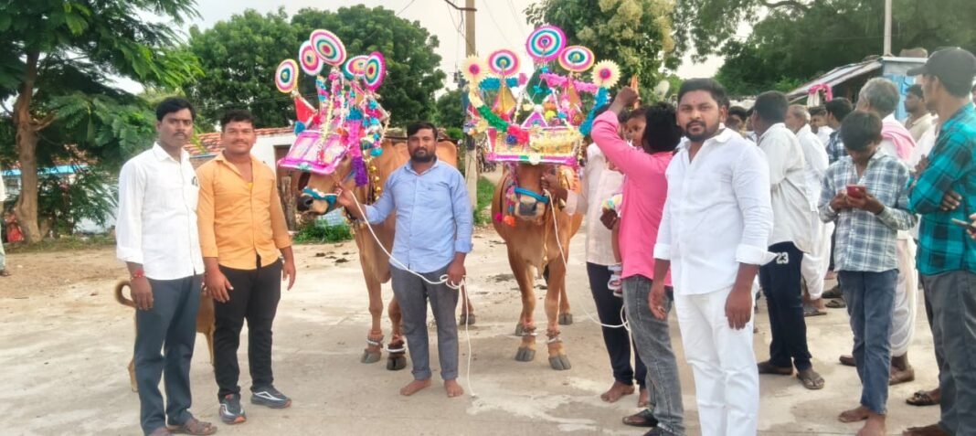 అంతపూర్లో ఘనంగా పొలాల అమావాస్య వేడుకలు