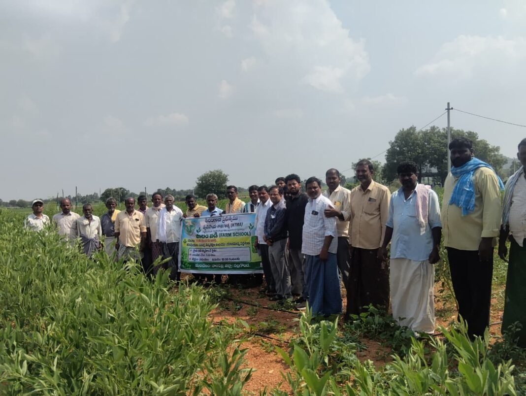కంది పంటపై పొలంబడి
