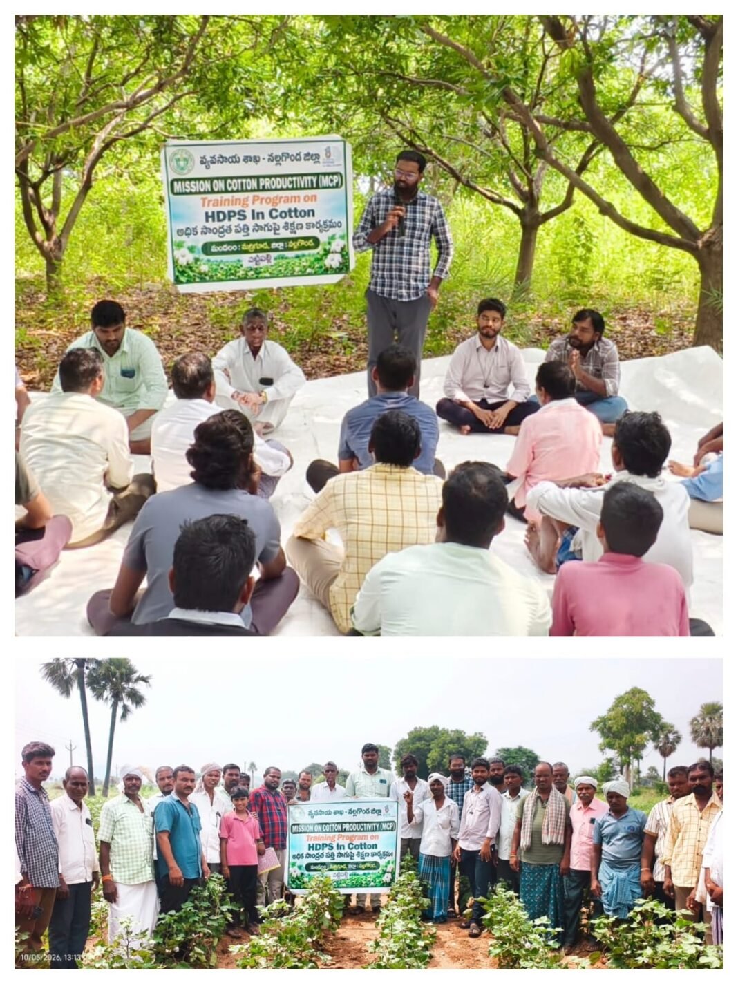 పత్తిలో అధిక దిగుబడులకు శాస్త్రీయ సాగు విధానాలు