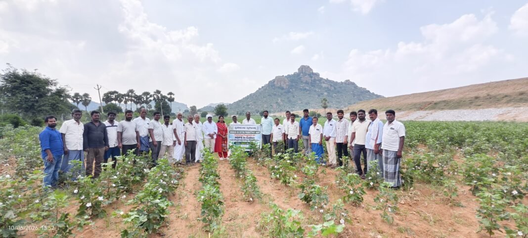 క్లోజర్ స్పేసింగ్తో అధిక దిగుబడులు సాధించాలి